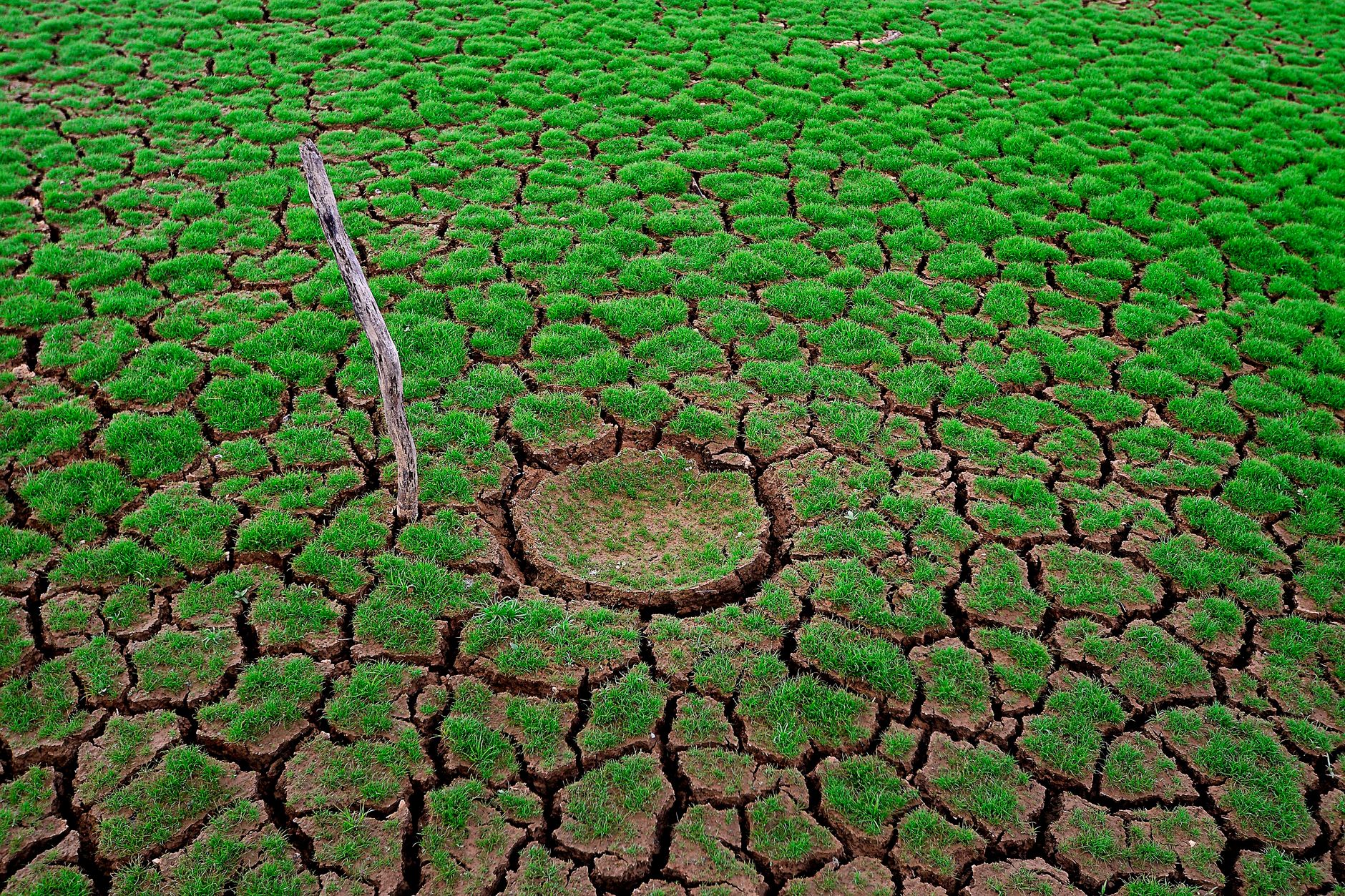 Karnataka drought crisis