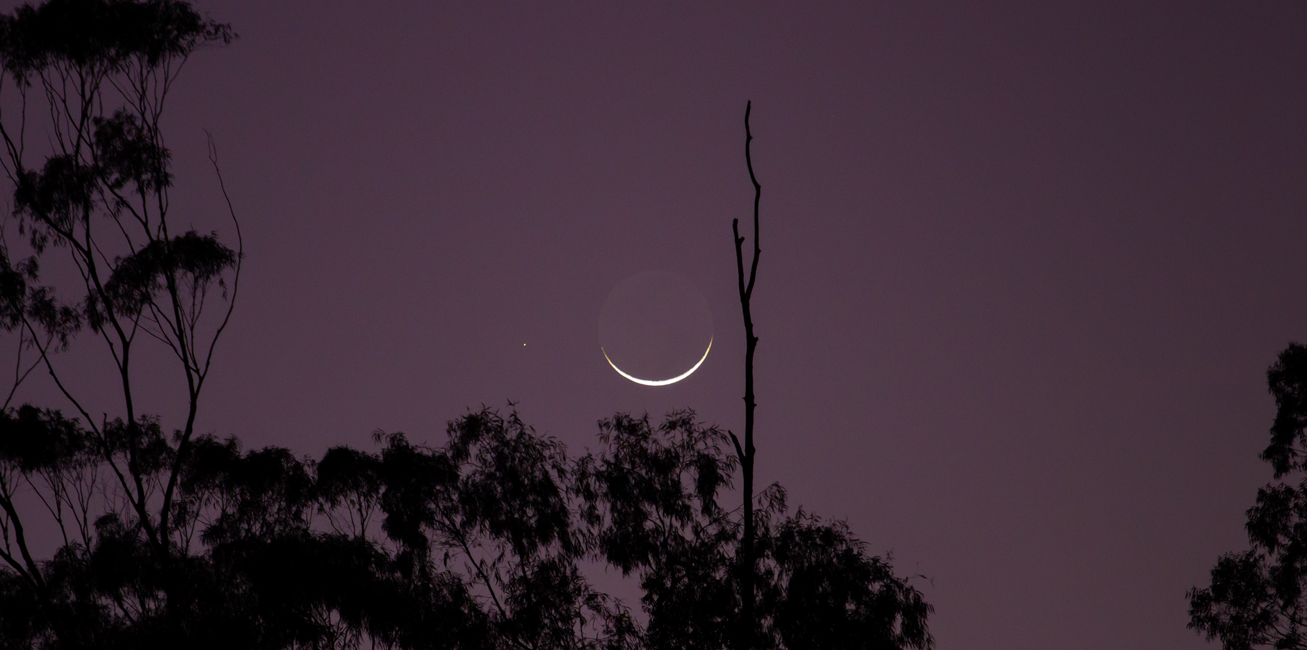 Venus swallowed moon: New study reveals shocking findings